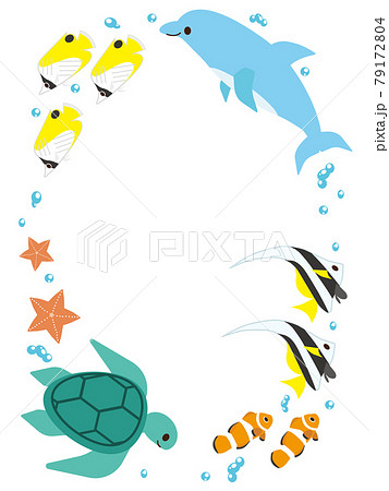 海の生き物フレーム（縦）のイラスト素材 [79172804] - PIXTA