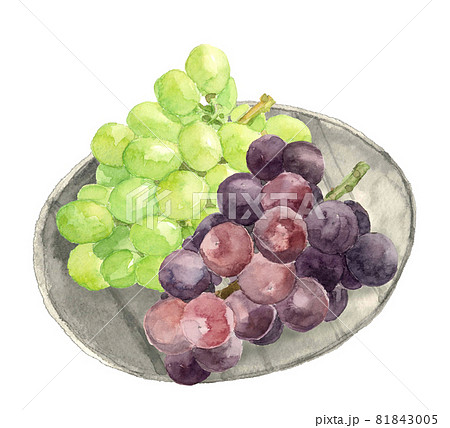 和皿にのせたブドウセット シャインマスカットとオーロラブラック