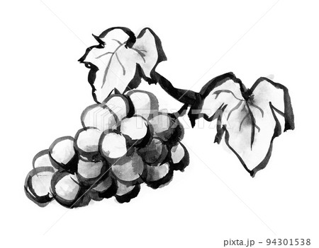 筆のにじみをいかして描いた葡萄の和風イラスト（水墨画）のイラスト