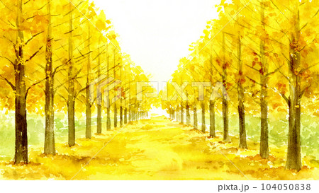 イチョウ並木の水彩画 16：9のイラスト素材 [104050838] - PIXTA