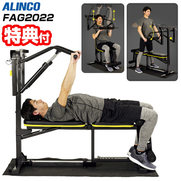 楽天市場】マルチワークアウトジム ALINCO FAG2022 マット付き
