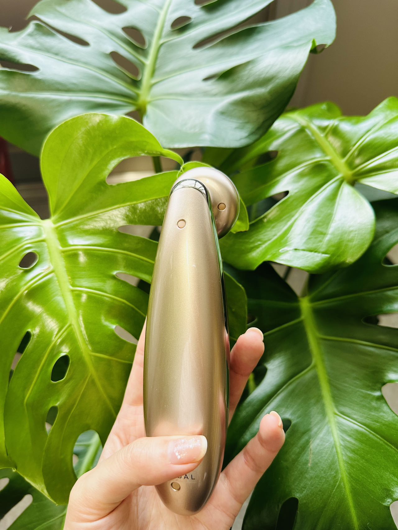 楽天市場】【正規品】美顔器 Miss Arrivo Ghost (ミスアリーヴォ