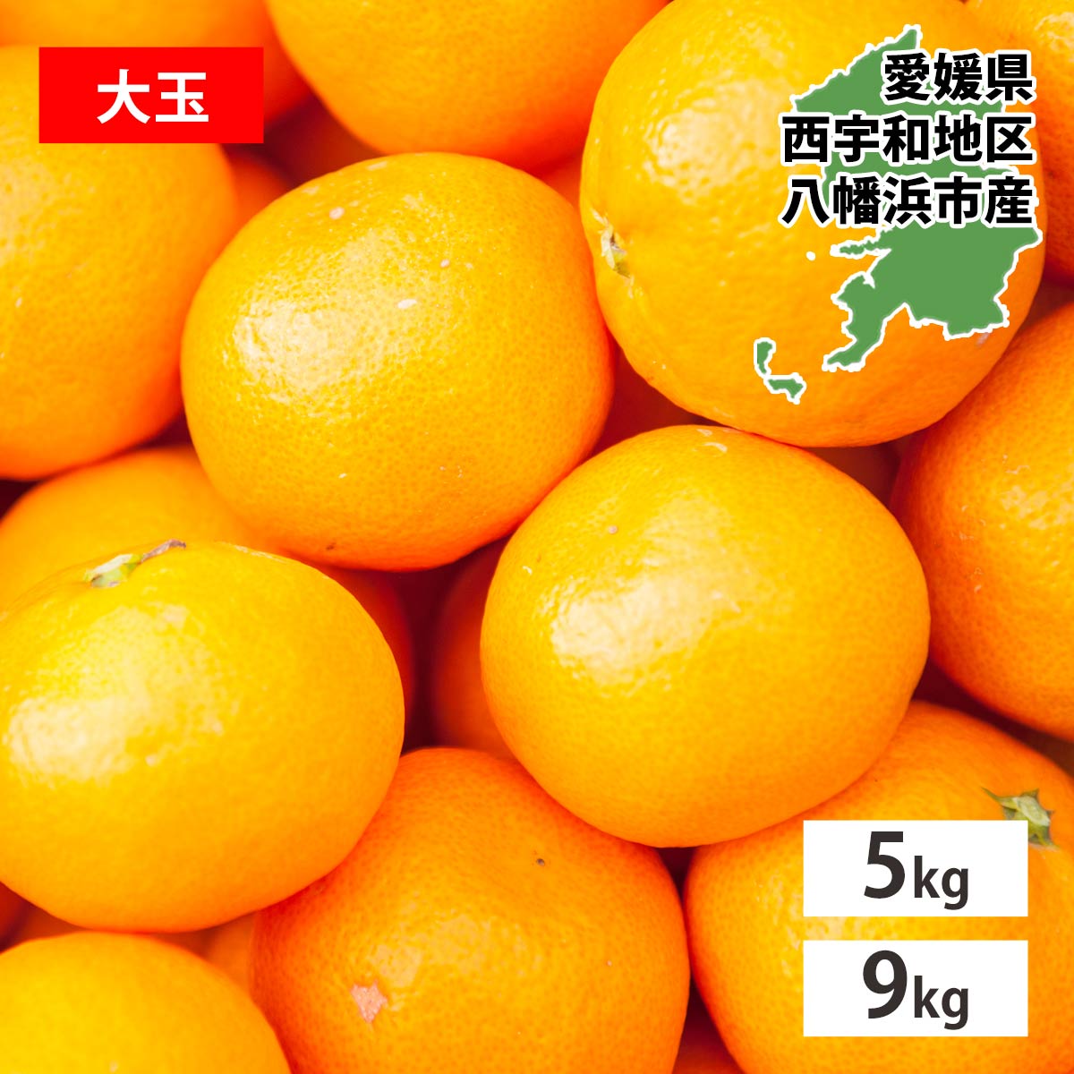 楽天市場】みかん 箱買い 大玉 訳あり 5kg 愛媛 ミカン 蜜柑 訳あり