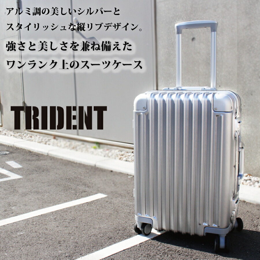 楽天市場】お得なP10倍実施中！ スーツケース LLサイズ 1週間以上 大型