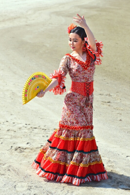 楽天市場】新ブランドnajanaja フラメンコ衣装 ツーピース ブラウス