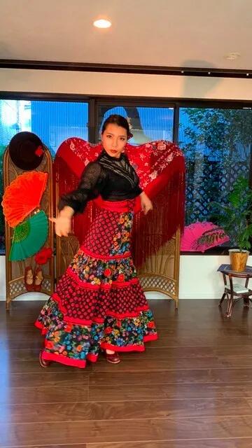 フラメンコ衣装 マーメイド 赤ブラウス七分とマーメイドファルダ M