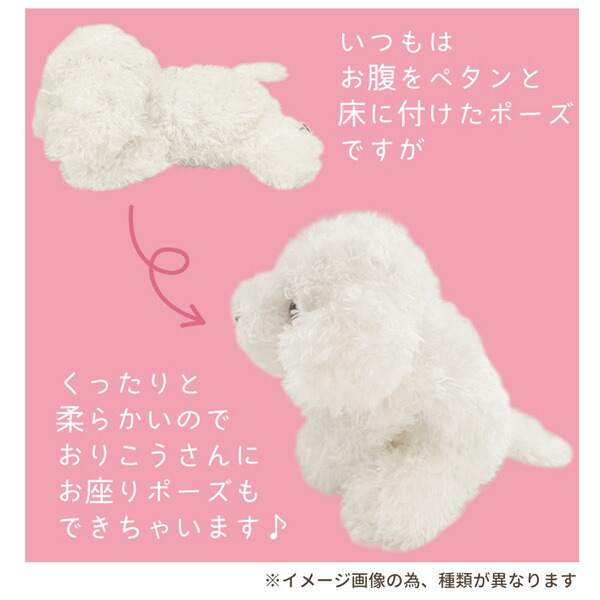 楽天市場】10727-29 モンスイユ オリジナルぬいぐるみ パプス PUPS