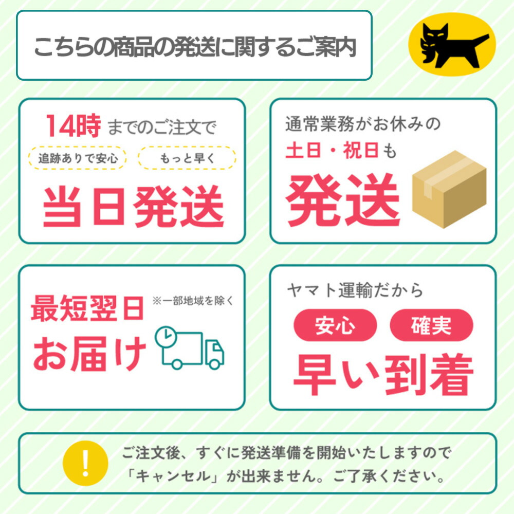 楽天市場】【P5倍！3/2 13時まで！】L13C カバーステッチミシン ロック