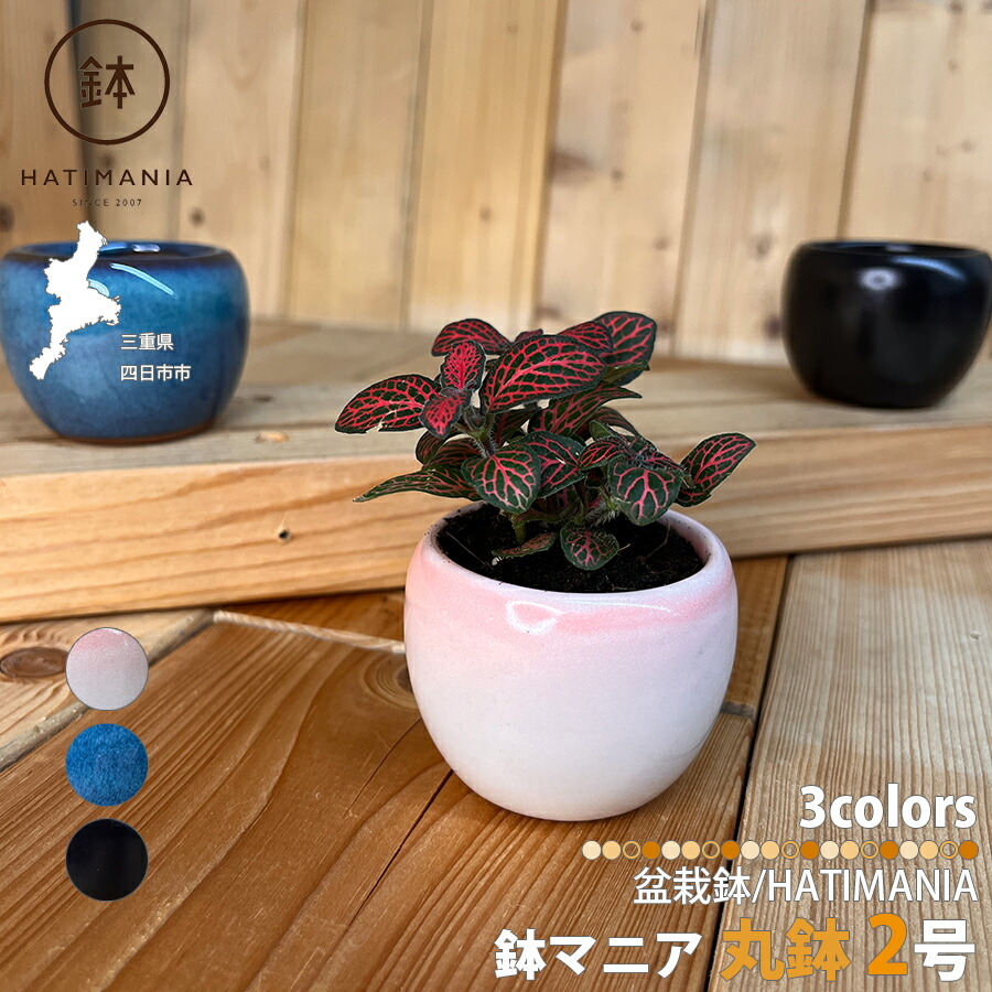 楽天市場】鉢マニアの通販