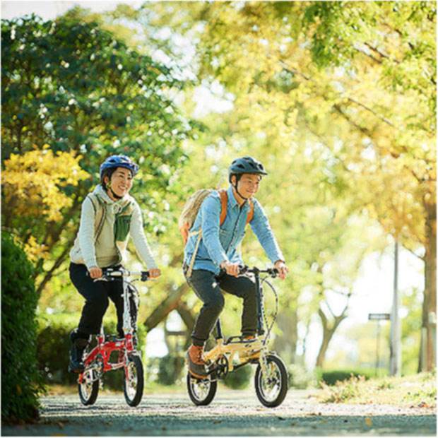 楽天市場】1日最大1800円OFFクーポンあり【2/2〜3/11限定 全品P3倍