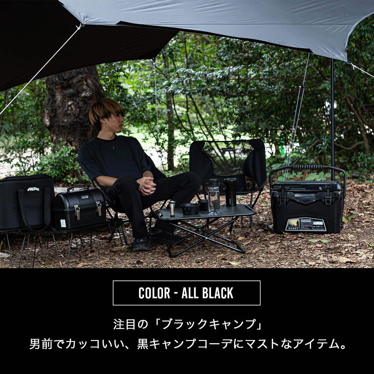 楽天市場】ヘリノックス チェアワン Helinox Chair one 1822221