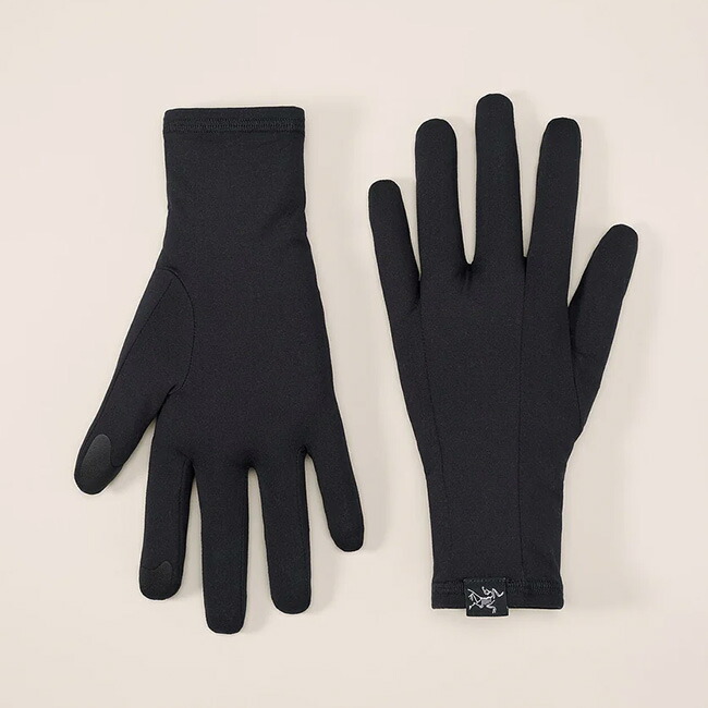 楽天市場】アークテリクス ローグローブ ARC'TERYX Rho Glove