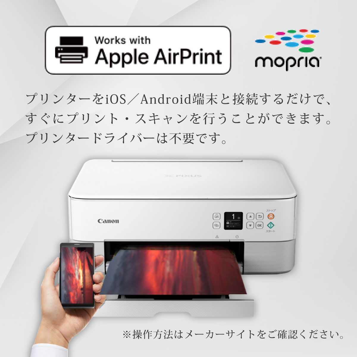 楽天市場】＼高評価☆4.58／【楽天ランキング1位受賞】【即納