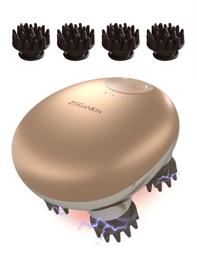 楽天市場】【クルールラボ公式】ZOGANKIN スカルプ CL-ZKS（1年保証