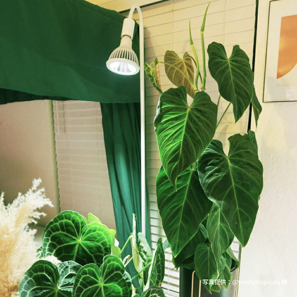 楽天市場】【BARREL公式】NEO TSUKUYOMI LED 20W BLACK EDITION