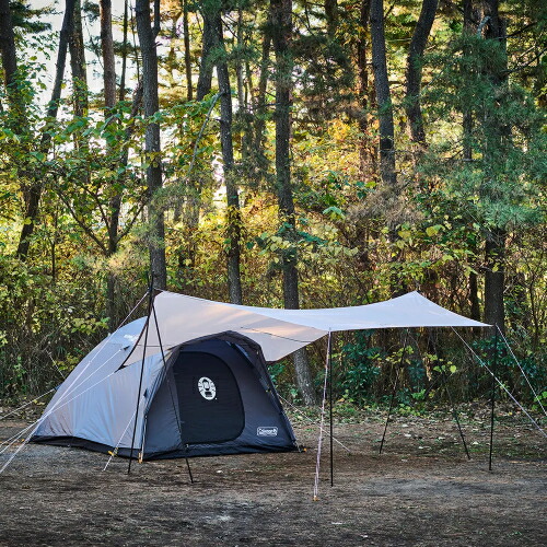 楽天市場】BCクロスドーム/270(チャコール) 2206747 コールマン おうち