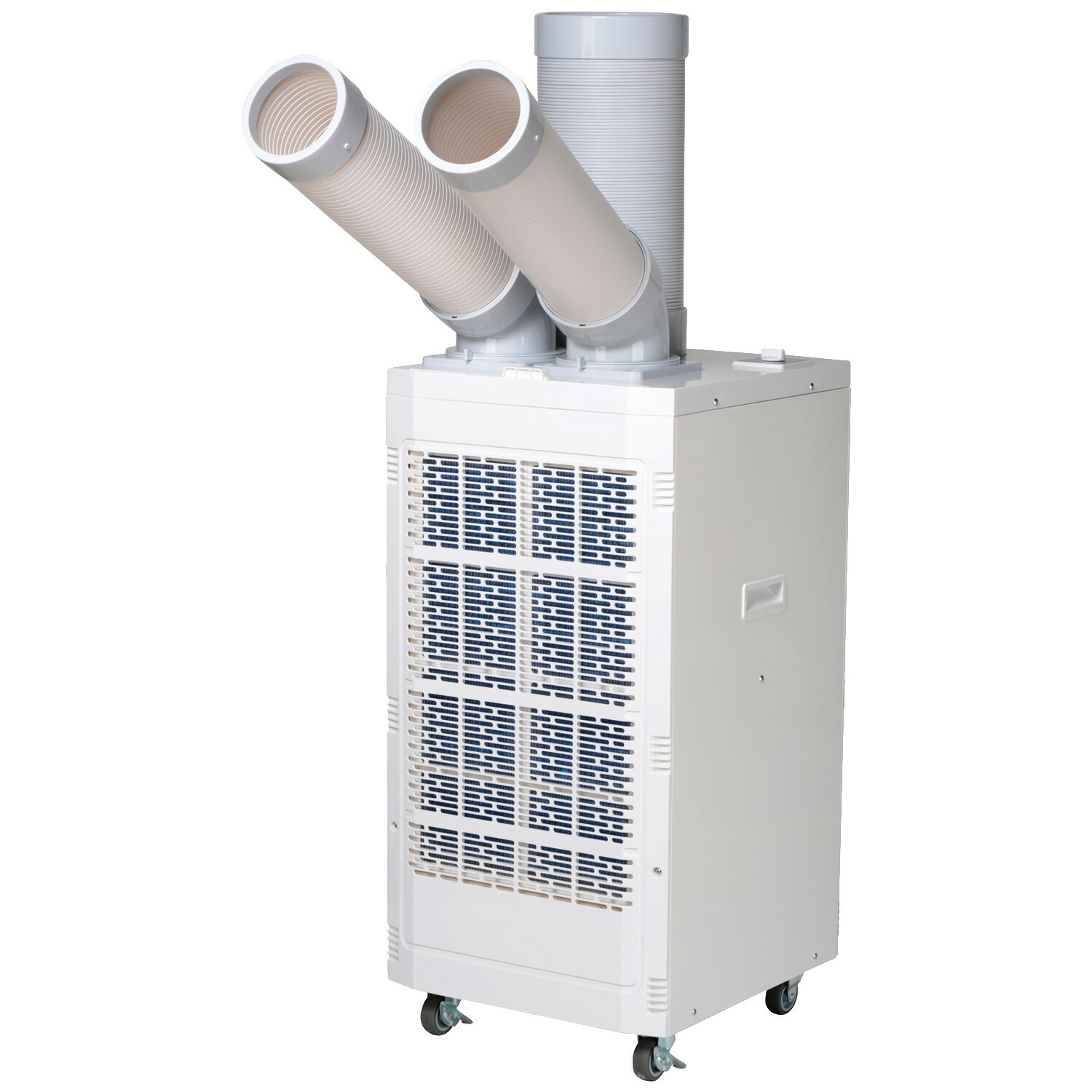 楽天市場】【早期購入2,000円オフクーポン 2/28 23:59まで】スポット