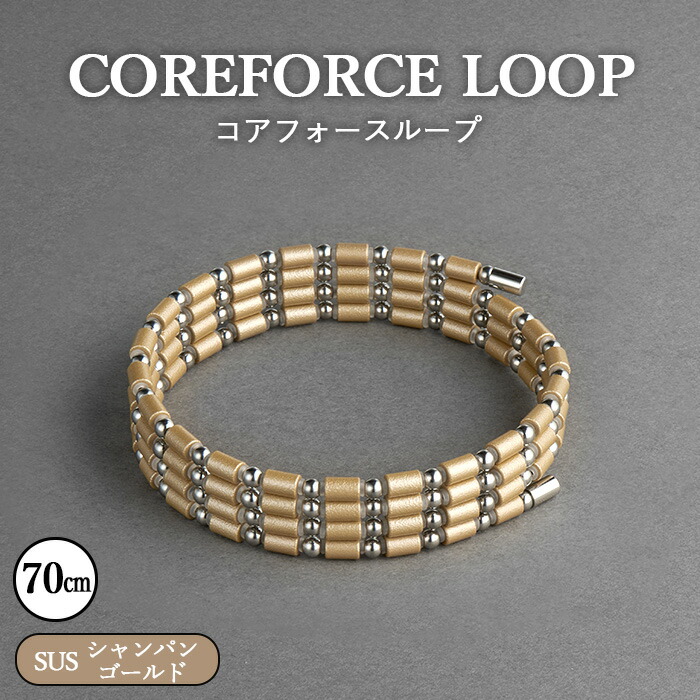 楽天市場】【ふるさと納税】コアフォースループ SUS 70cm ／ COREFORCE