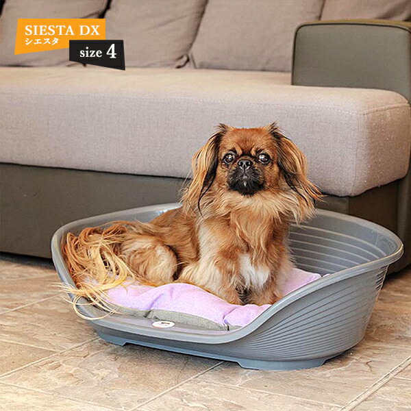 楽天市場】シエスタ SIESTA DX 4 ベッド プラスチック 犬 猫 洗える