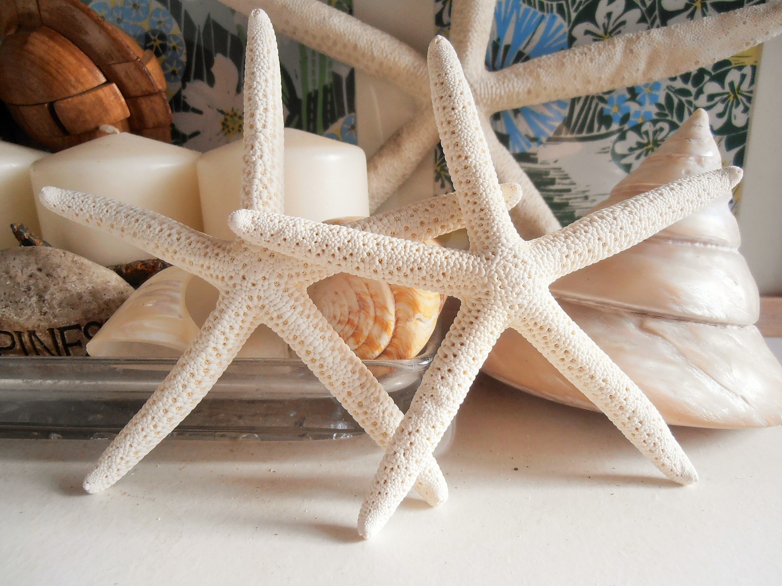 楽天市場】天然素材 大きな ヒトデ（スターフィッシュ 約10〜12cm