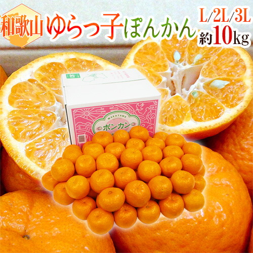 楽天市場】和歌山産 ”ゆらっ子ぽんかん” 秀品 L〜3L 約10kg ポンカン