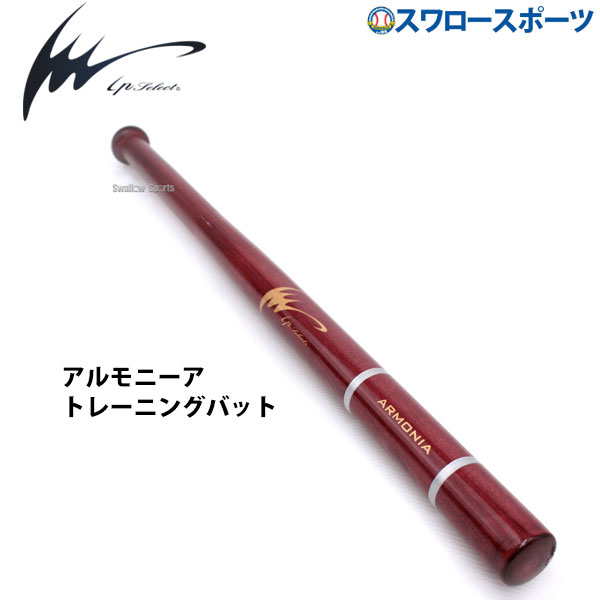 楽天市場】＼15日5%OFFクーポン配布／ 野球 アイピーセレクト 練習用