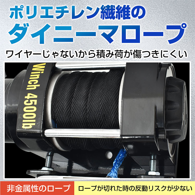 楽天市場】2/25迄☆激得クーポン！＼ランキング1位獲得／【送料無料