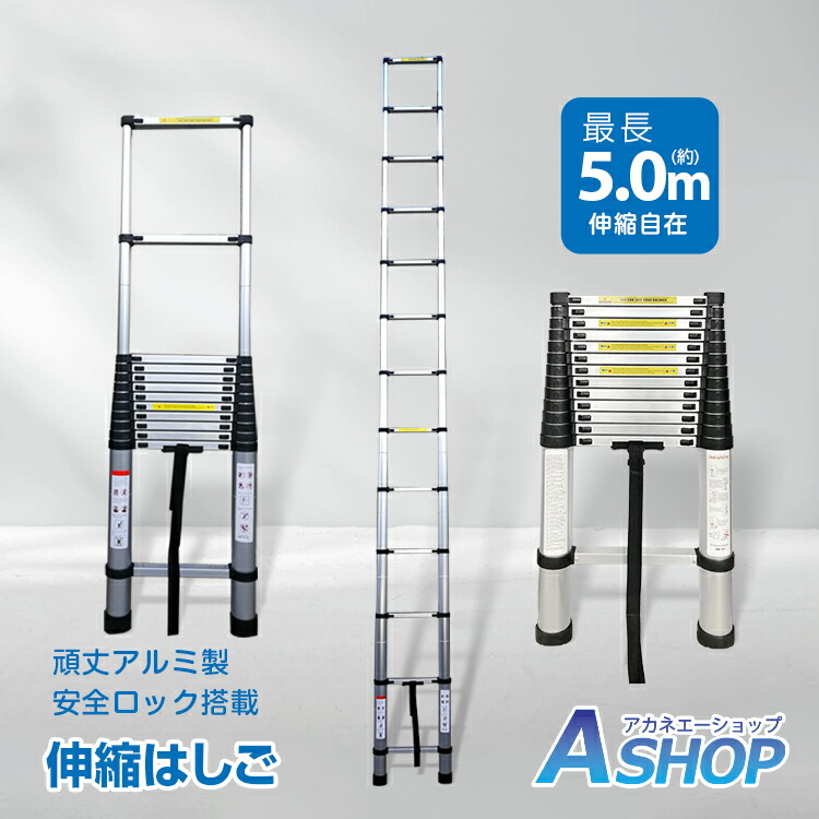 楽天市場】2/25迄☆激得クーポン！【送料無料】DIY はしご 伸縮 5m