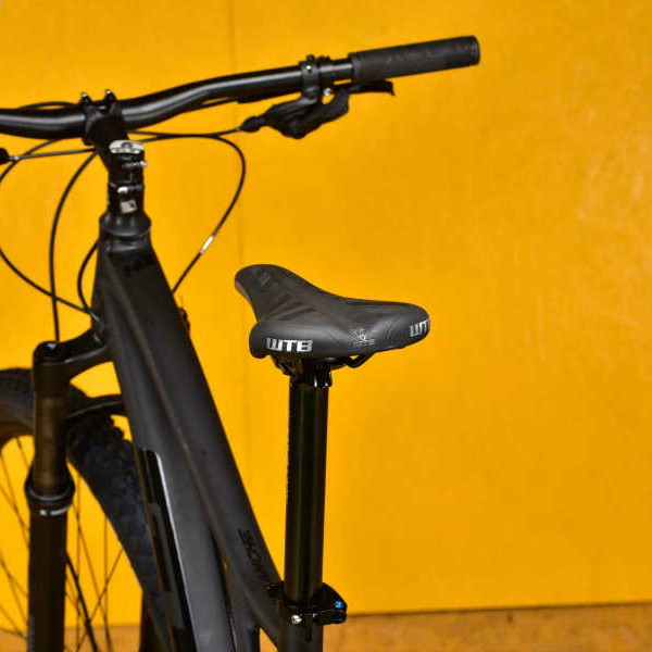 楽天市場】GT ジーティー 2025年モデル AVALANCHE EXPERT アバランチェ