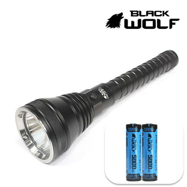 楽天市場】【エントリーでP10倍♪2/28(土）迄】LED ダイビング ライト