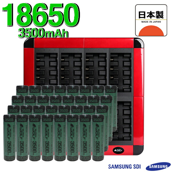 楽天市場】【エントリーでP10倍♪2/28(土）迄】大型 充電器 急速