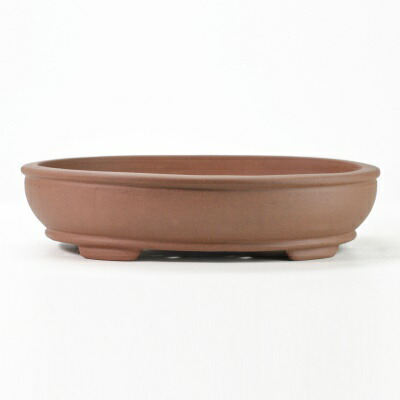 鉢 盆栽鉢 10号」の人気商品一覧 | 安い商品を通販サイトから探す