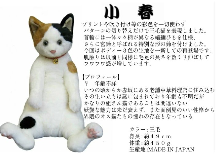 楽天市場】【即納可能】【送料無料】Cuddly (カドリー） ぬいぐるみ