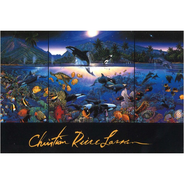 楽天市場】Christian Riese Lassen絵画額 □ラッセン 5620インチ額