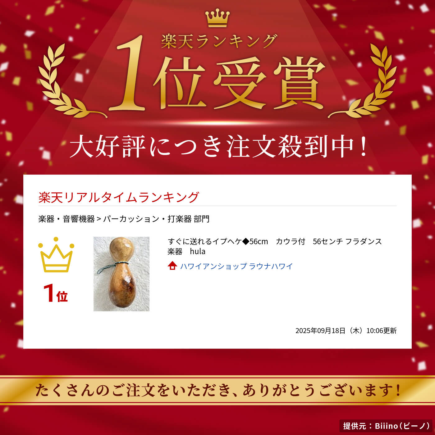 楽天市場】すぐに送れるイプヘケ◇56cm カウラ付 56センチ フラダンス