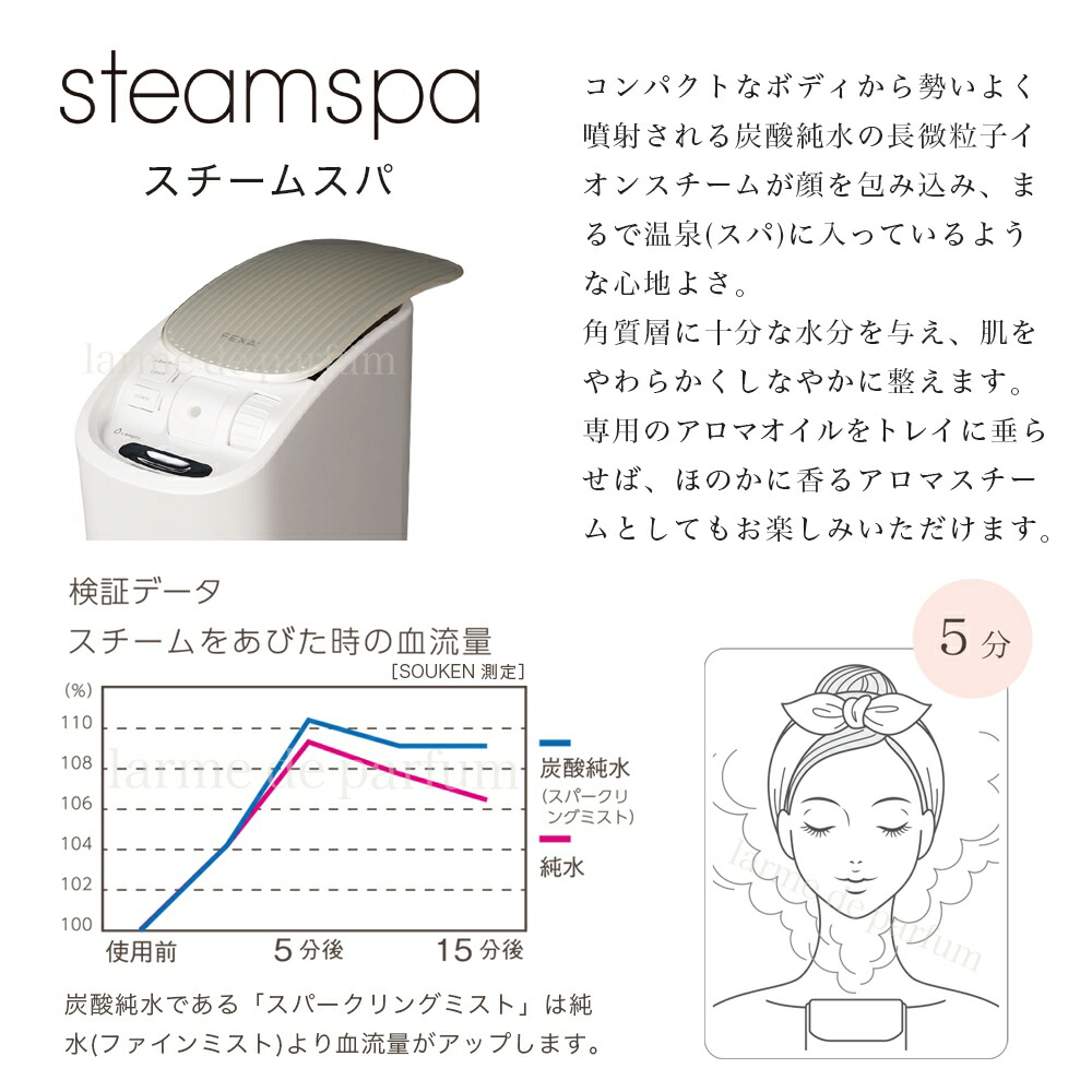steamspa002.jpg