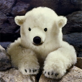 楽天市場】ケーセン Koesen ぬいぐるみ 限定500 白クマ どろんこ