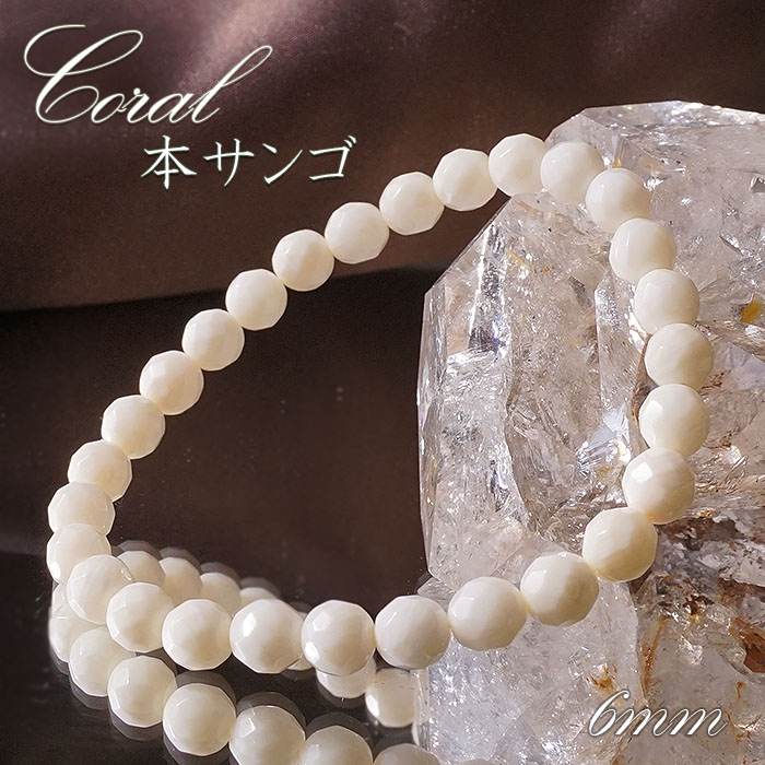 楽天市場】白珊瑚 ブレスレット 約6mm玉 本珊瑚 天然珊瑚 サンゴ
