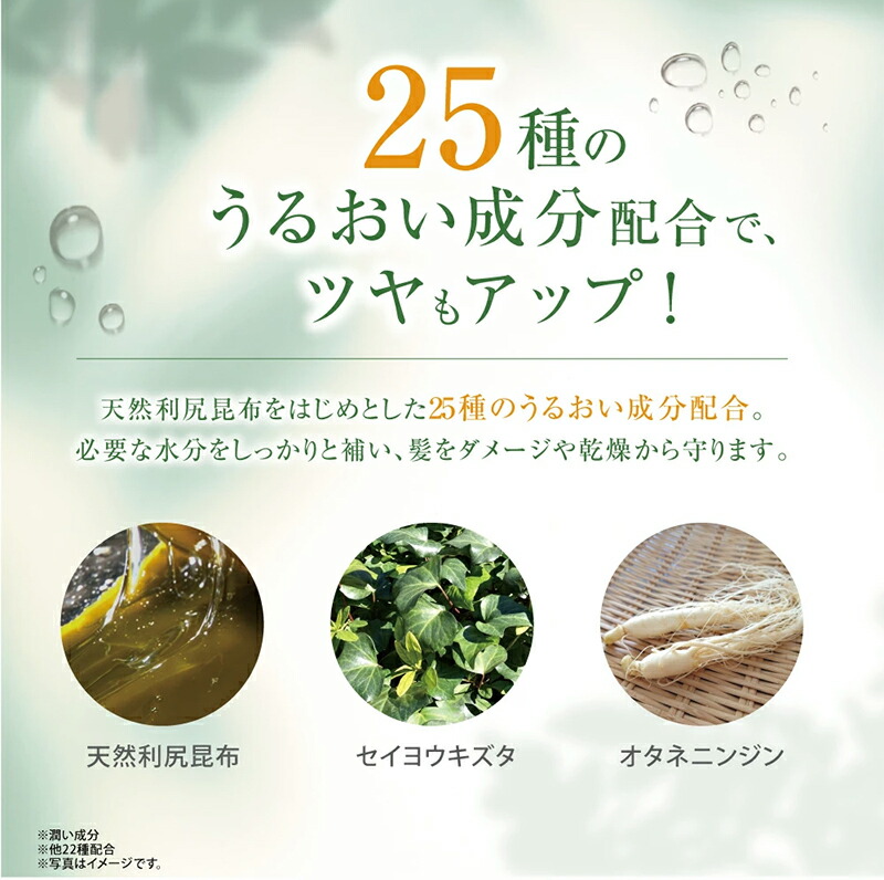 楽天市場】白髪用 利尻カラーシャンプー 200ml×2本 ＆ カラーケア