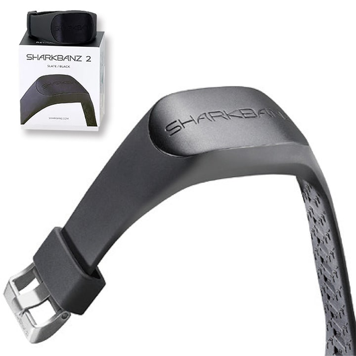 楽天市場】シャークバンズ 2 SHARKBANZ 2 スレートブラック SLATE