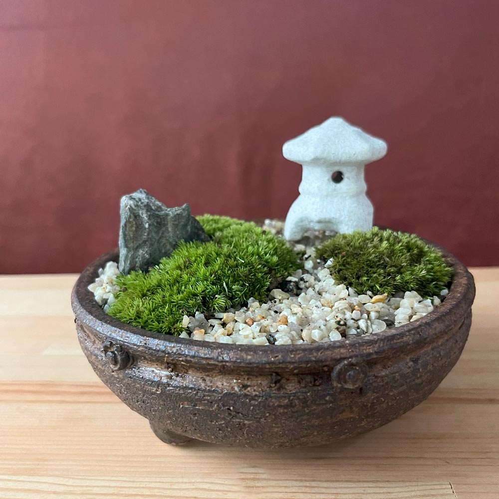 楽天市場】苔盆栽 三ツ足灯篭 信楽焼平鉢 三波石 小さな庭園