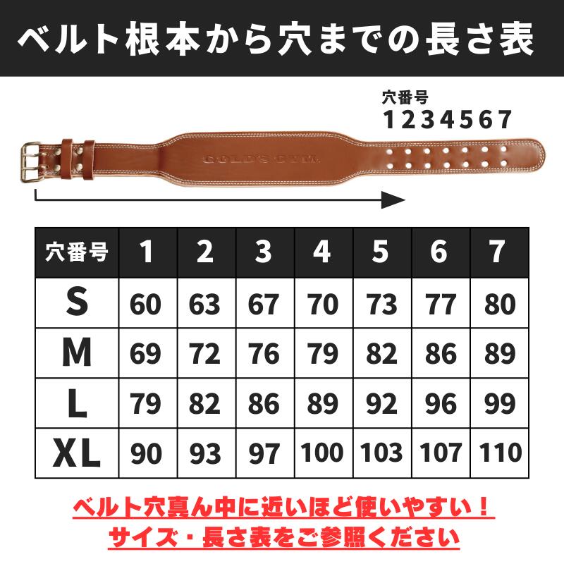 楽天市場】【公式サイト】GOLD'S GYM ゴールドジム G3324プロレザー