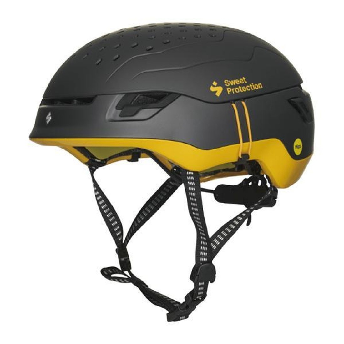 楽天市場】【国内正規品】 スウィートプロテクション アッセンダー