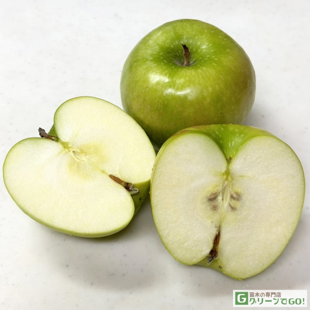 楽天市場】りんご 苗木 【YD（矮性台木） クッキングアップル グラニー