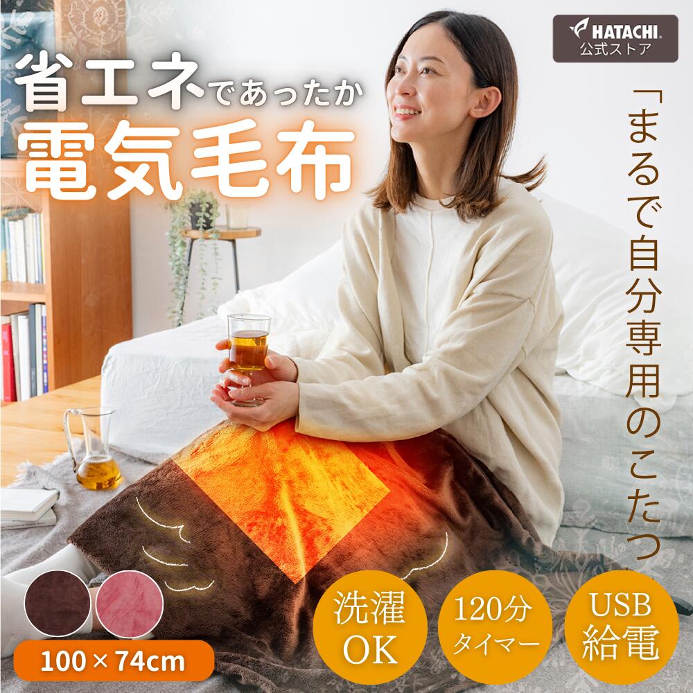 楽天市場】【在庫限り】【大特価3,000円】【公式】 HATACHI USB