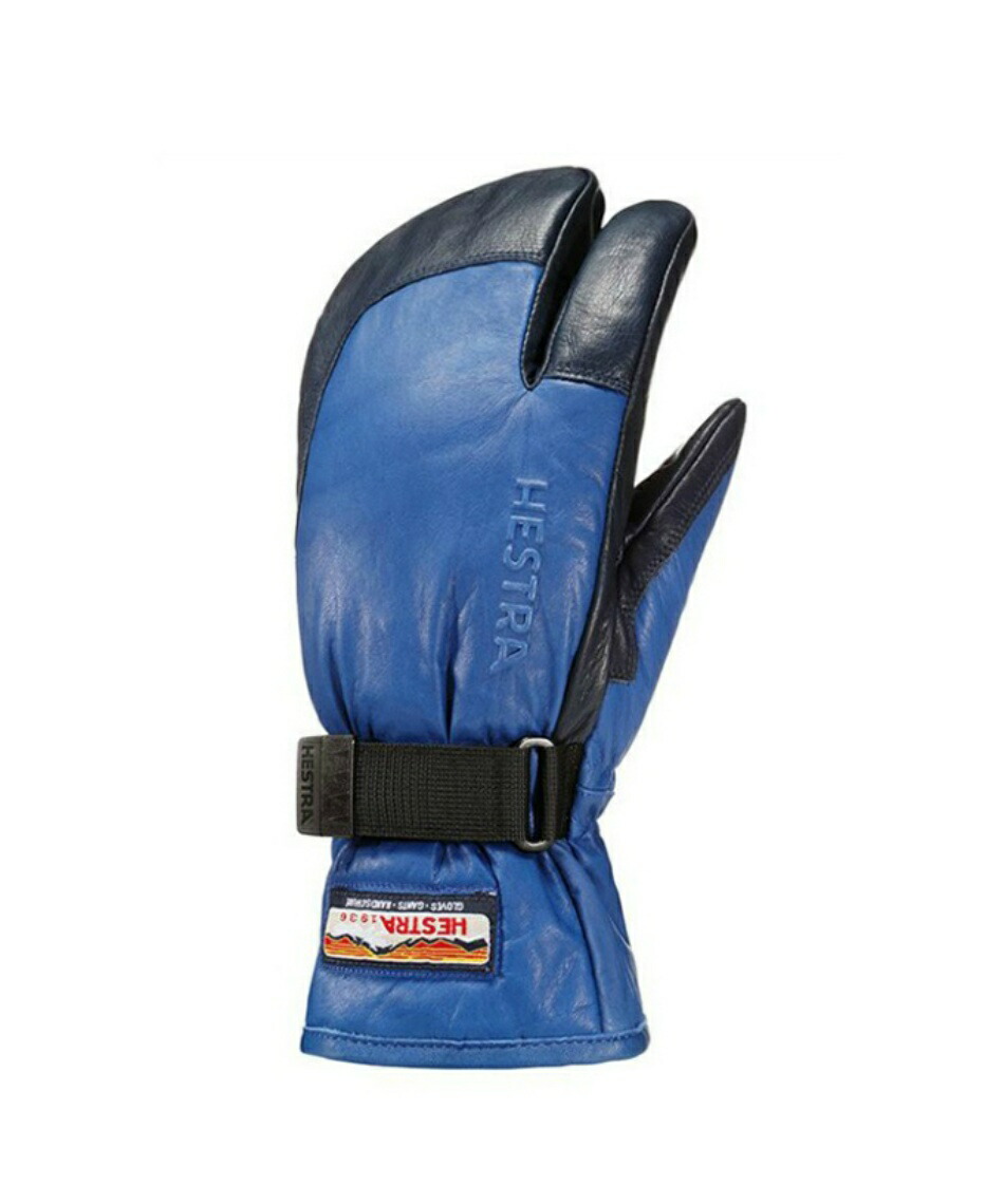 楽天市場】ヘストラ スキーグローブ レザーグローブ メンズ 3