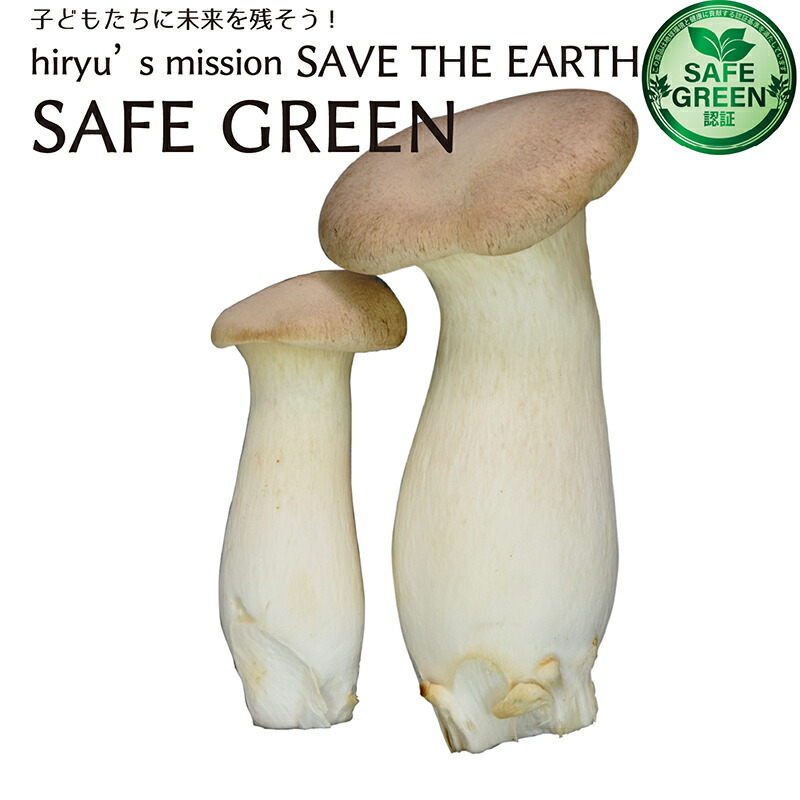 楽天市場】エリンギ 約100g 農薬・化学肥料不使用 国産 : HIRYU