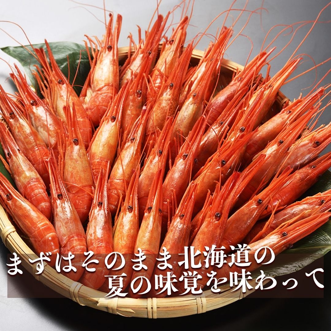 楽天市場】北海しまえび 500g 大サイズ ボイル えび 冷凍 エーウロコ