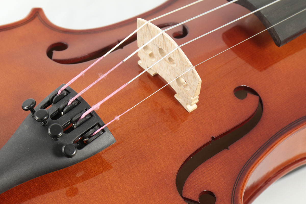 楽天市場】Carlo giordano / VS-1 バイオリンセット 1/2 【バイオリン