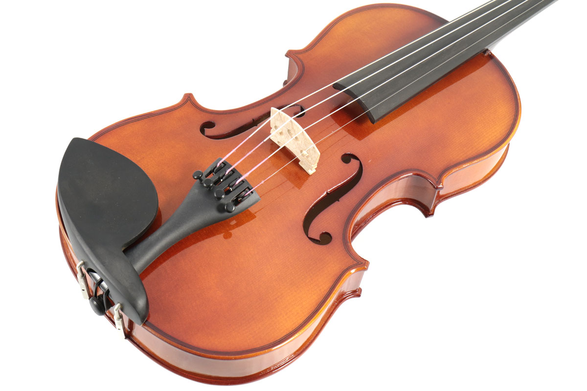 楽天市場】Carlo giordano / VS-1 バイオリンセット 1/2 【バイオリン